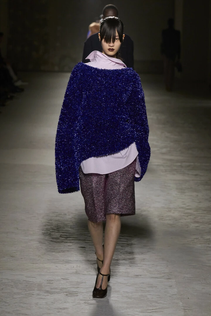 Dries Van Noten осінь-зима 2024/20252