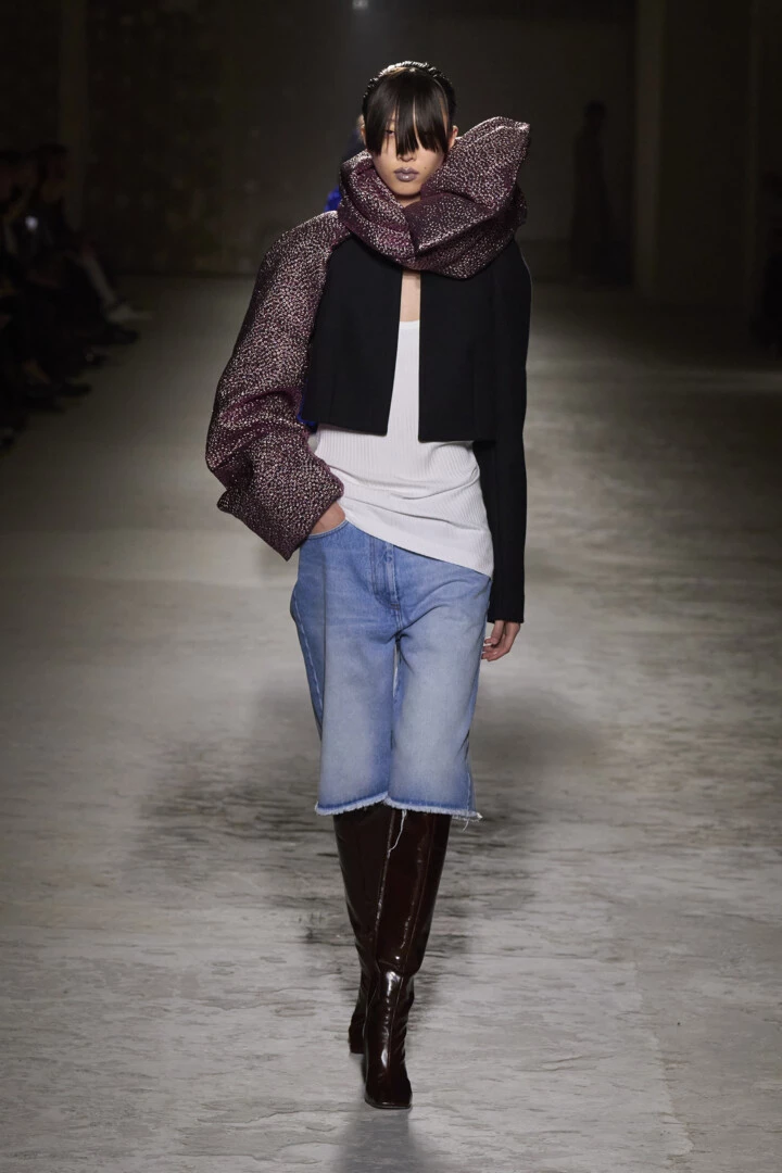 Dries Van Noten осінь-зима 2024/20254