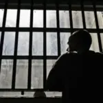Суд залишив вирок: вбивця собаки проведе за гратами 7,5 років