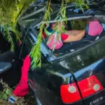 Смертельна ДТП на Київщині: дитина загинула, жінка поранена