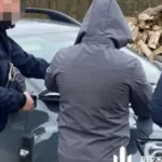 Лісова мафія на Волині: 13 осіб постануть перед судом за…