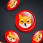 Чому зростає ціна Shiba Inu