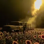 День Незалежності України: політолог назвав головні досягнення за 2025 рік