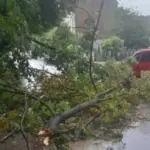 Буревій на Полтавщині: тисячі людей без світла, пошкоджені будинки