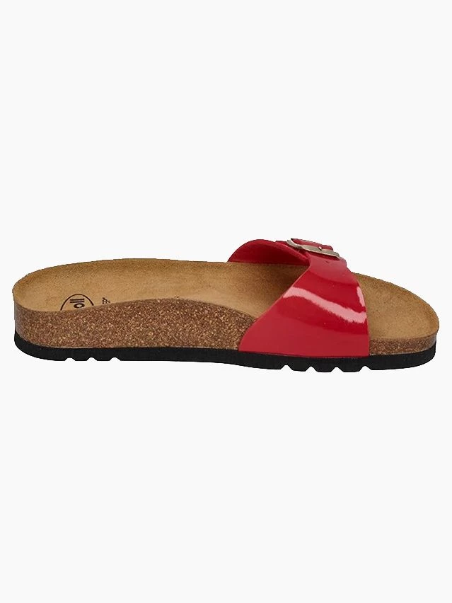 Scholl2