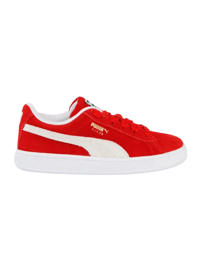 Puma9