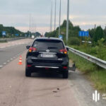Поліцейського з Рівного затримали за смертельну ДТП з відмовою у…