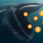 Кити відправляють BTC на Binance
