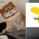 Як змінити власника особового рахунку за світло, пояснили в YASNO