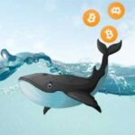 Биткоін-кіт, що прокинувся, переклав 137 BTC на $15,6 млн