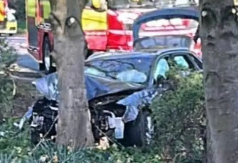 Фото зім'ятого чорного автомобіля після того, як він врізався в дерево