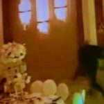 «Громадянин, який не запросив молодят на весілля, вкрав подарунки на…