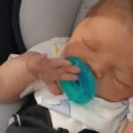 Немовля зарізав на смерть сімейний собака через тиждень після народження