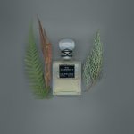 Kering Beauté відроджує парфуми Balenciaga десятьма новими творіннями (Фото: Катерина Джебб / Balenciaga ©)