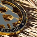 У CoinGecko вказали на нульову кореляцію біткоїну та S&P 500