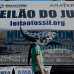 Генеральний прокурор Бразилії порушив питання про припинення розвідки нафти в…