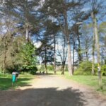 Пошуки чоловіка, який зґвалтував дівчинку-підлітка, що йшла парком вдень