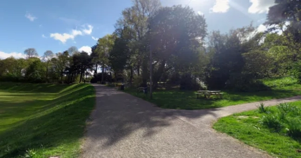 Парк з деревами