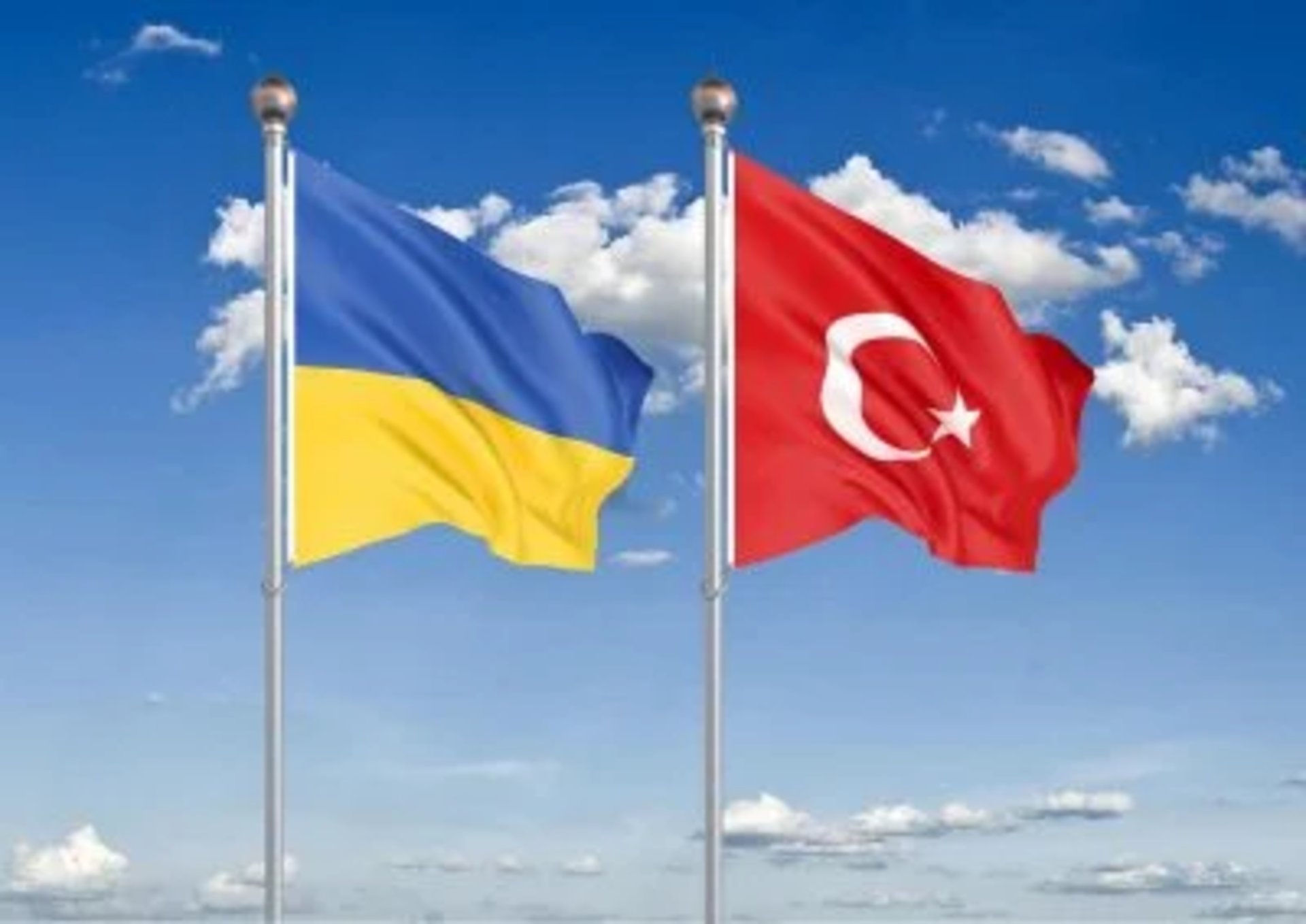 Як Туреччина може зупинити війну в Україні: аналіз глави МЗС Німеччини 2