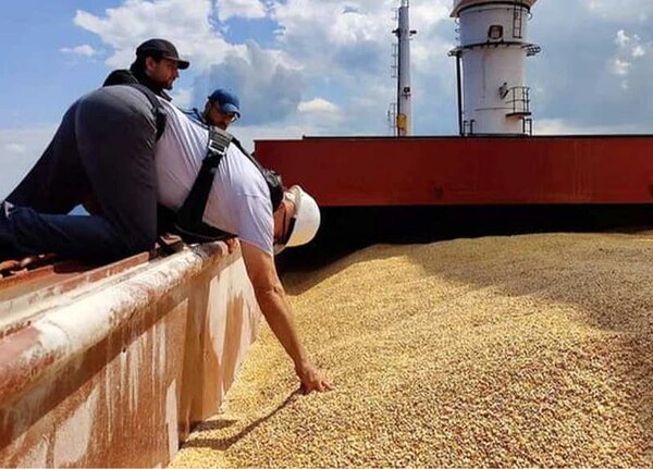 Українські сільгоспвиробники прогнозують подорожчання своєї продукції.