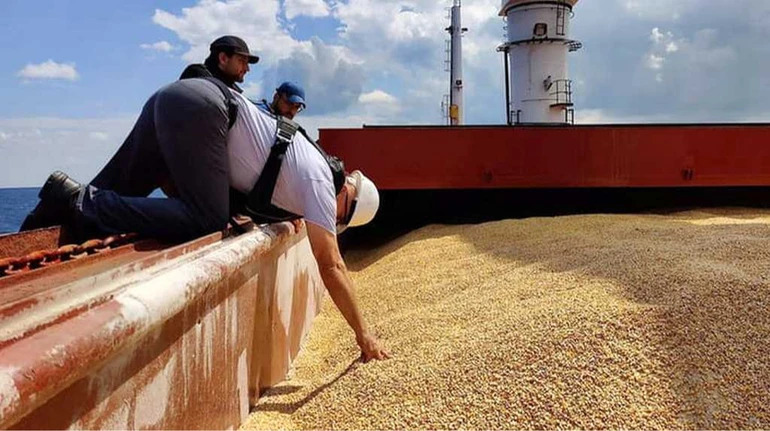 Українські сільгоспвиробники прогнозують подорожчання своєї продукції.