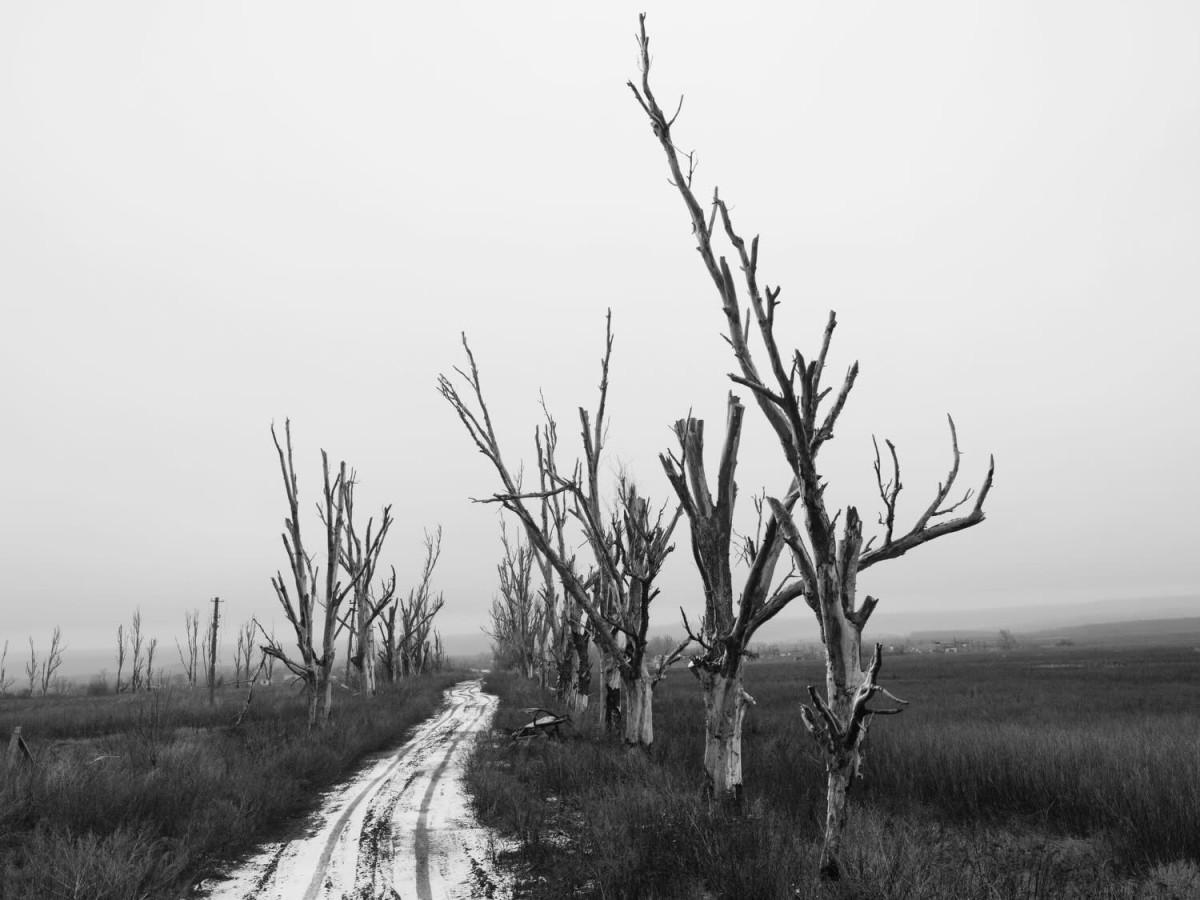 У Каннах презентували виставку робіт фотокореспондентів, які загинули в Україні під час війни.1