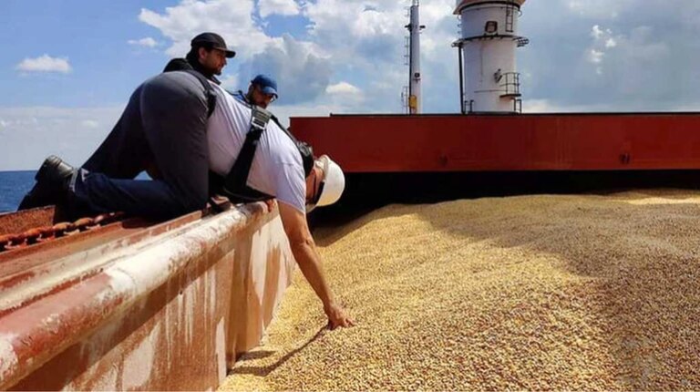 Як в Україні збільшилося виробництво продукції аграрного сектору 20