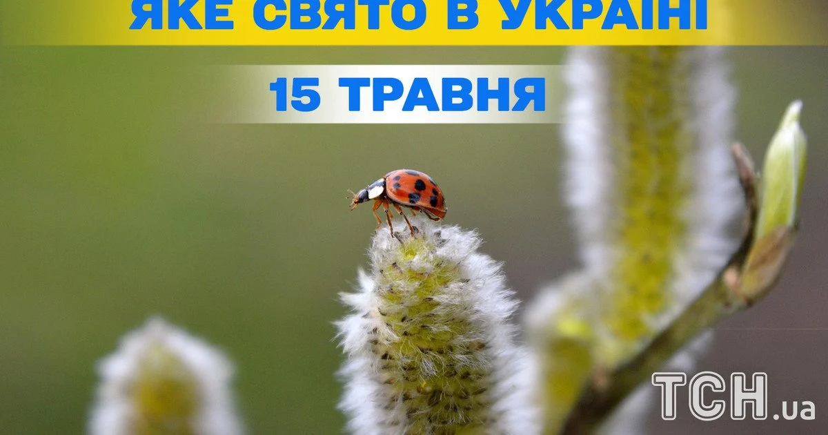 Яке свято 15 травня 2026 року