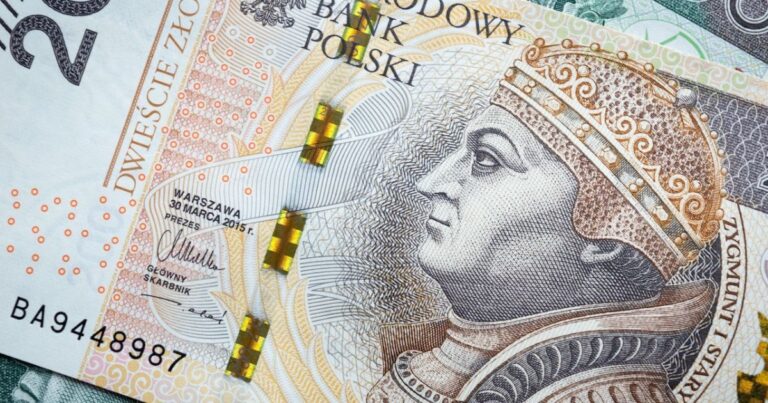 Польща вводить нові правила щодо розрахунків готівкою та обмежень: що варто знати українським біженцям 9 Польща вводить нові правила щодо розрахунків готівкою та обмежень: що варто знати українським біженцям 8