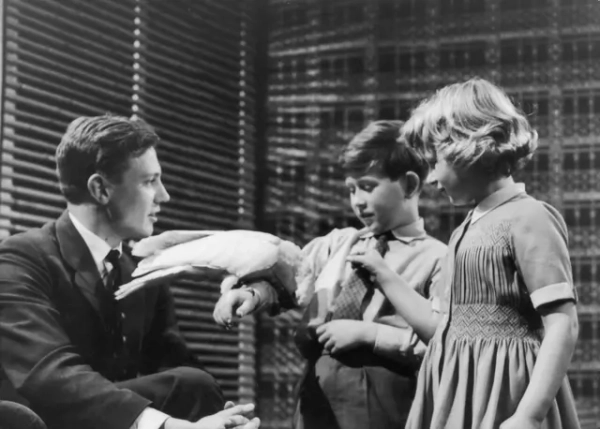 1958, Аттенборо на зустрічі з принцом Чарльзом і принцесою Анною показує какаду, якого спіймали під час зйомок програми "Зооквест"