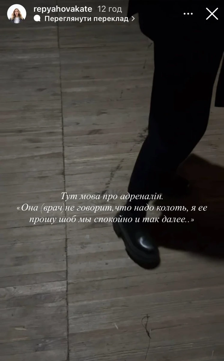 Дружина Віктора Павліка зафільмувала на мобільний телефон, як їй грубіянив Сергій Перман 15