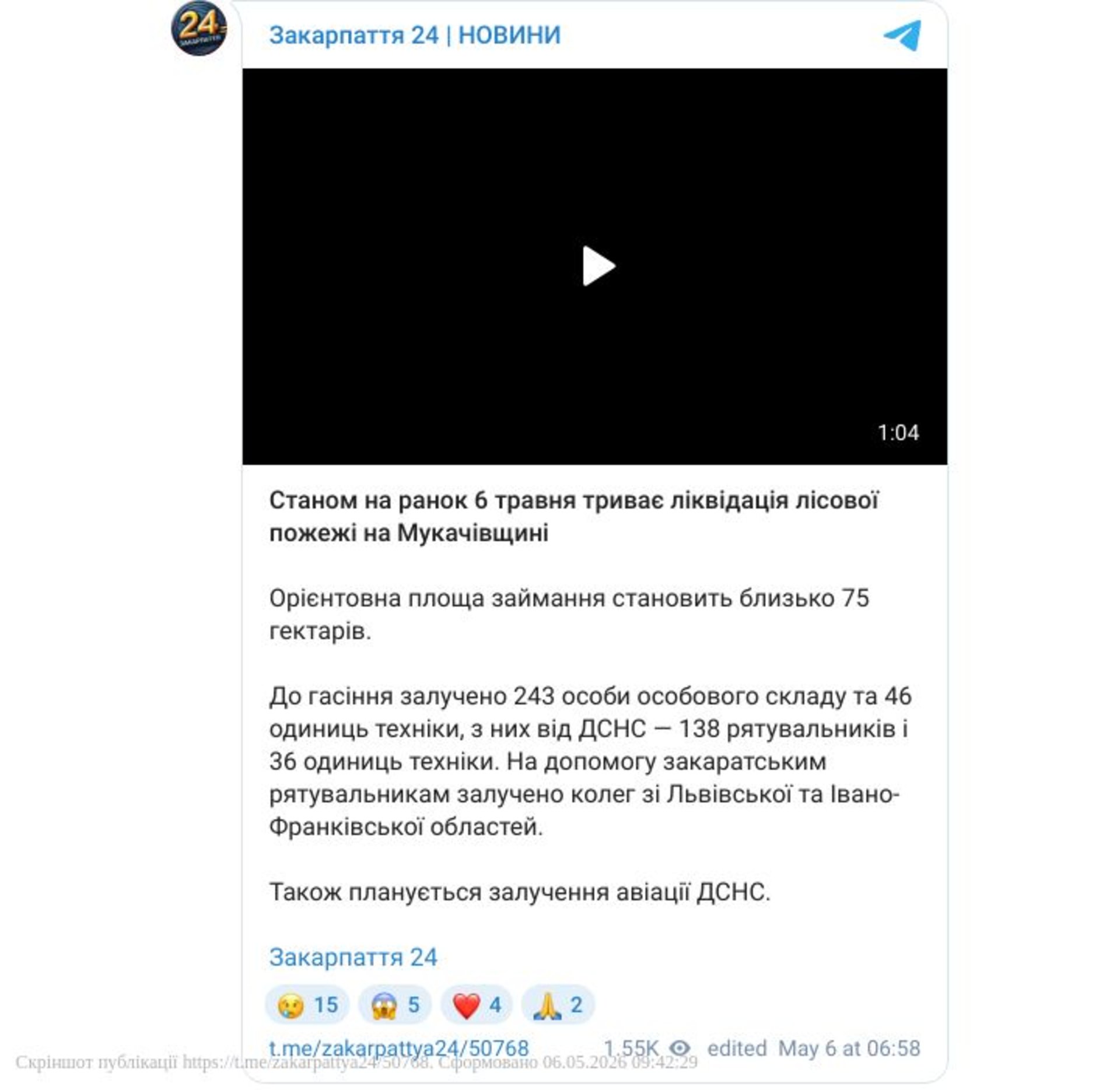 Масштабна лісова пожежа на Закарпатті: порятунок від стихії триває (Фоторепортаж) 8