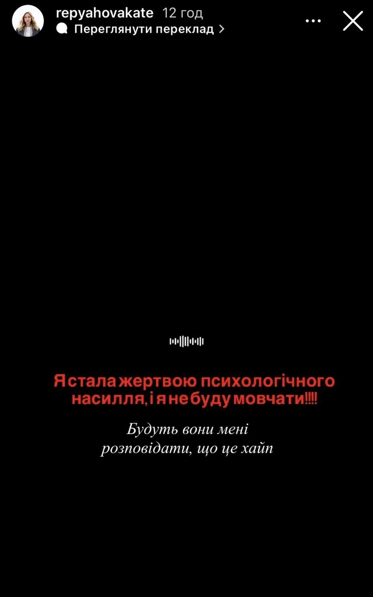 Дружина Віктора Павліка зафільмувала на мобільний телефон, як їй грубіянив Сергій Перман 17