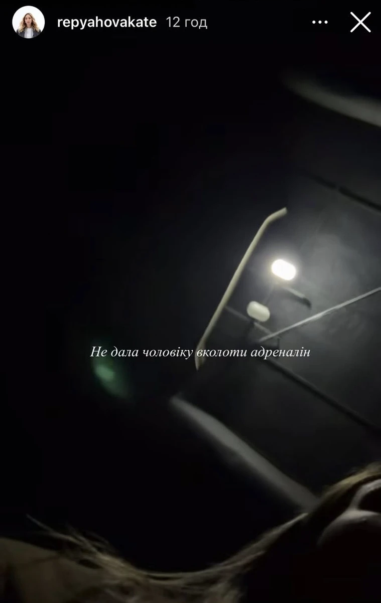 Дружина Віктора Павліка зафільмувала на мобільний телефон, як їй грубіянив Сергій Перман 16