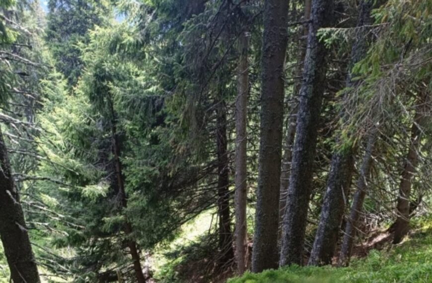 Знайдено людське тіло біля кордону з Румунією