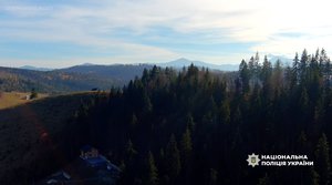 Викрито зухвалу оборудку: 20 гектарів лісу біля "Буковеля" намагалися привласнити 9