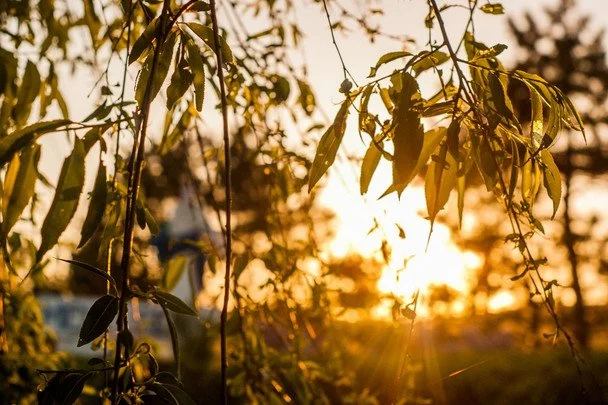 Народні прикмети 26 липня / © pexels.com