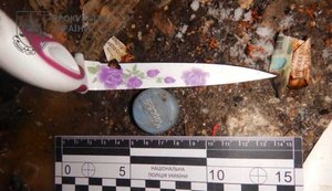 Замах на вбивство безпритульного: двоє прикарпатських школярів постануть перед судом 8