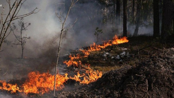 Займання в зоні відчуження Чорнобильської АЕС продовжується, пожежники зупинили головні вогнища, радіаційний фон у нормі – Державна служба України з надзвичайних ситуацій