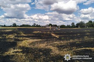Жорстока правда: як небезпечне спалювання стерні вбиває людей на Рівненщині 9