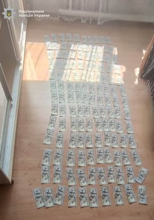 Грабіж століття: як злодій вкрав майже 1,3 мільйона у вчительки на Прикарпатті 10