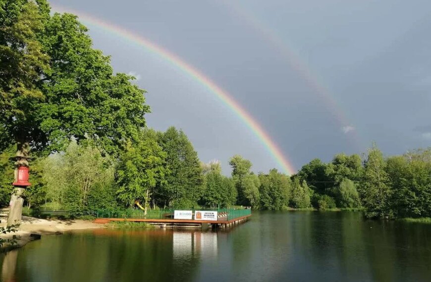 Майже потонув у воді: поляка врятували двоє українців після&hellip;