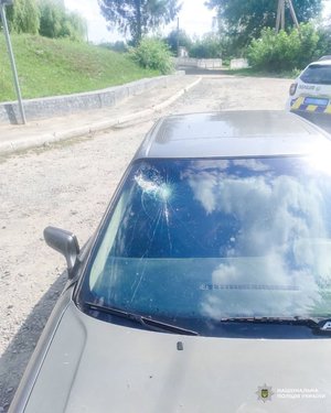 Поліція Рівненщини: п'яний водій спричинив ДТП та напав на правоохоронця 11