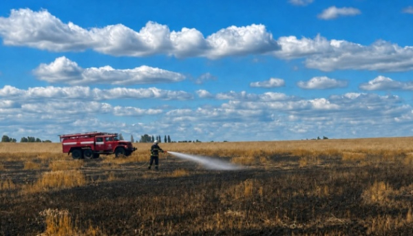 На Житомирщині через атаку росіян згоріло поле з пшеницею