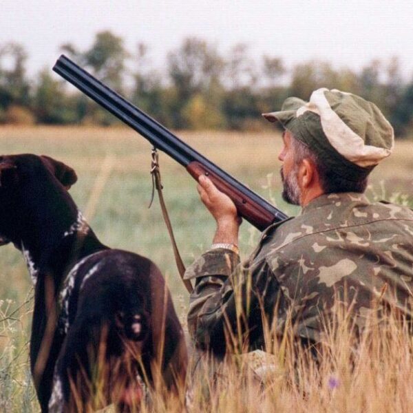У Верховній Раді хочуть дозволити полювання в період “сезону тиші”, зоозахисники б’ють на сполох