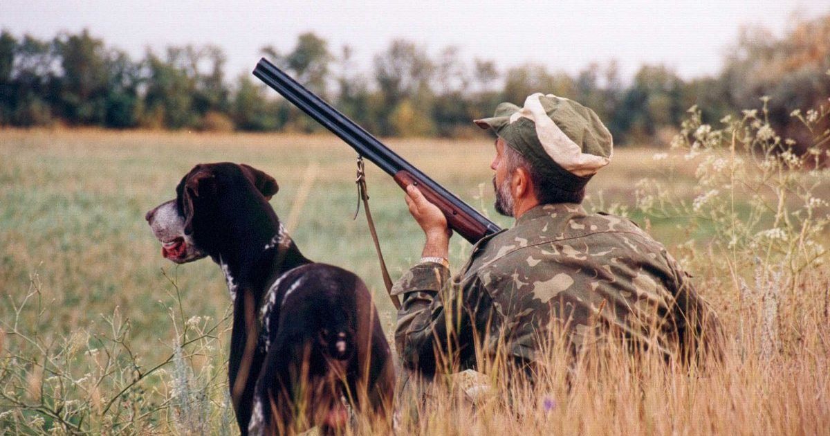 Мисливець Мисливець