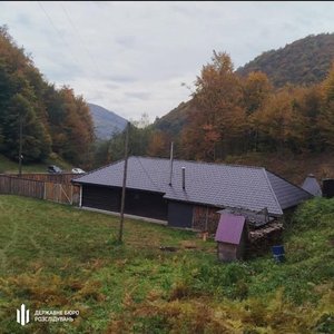 Як закарпатський лісничий нажив понад 9 мільйонів: розслідування скандалу 11