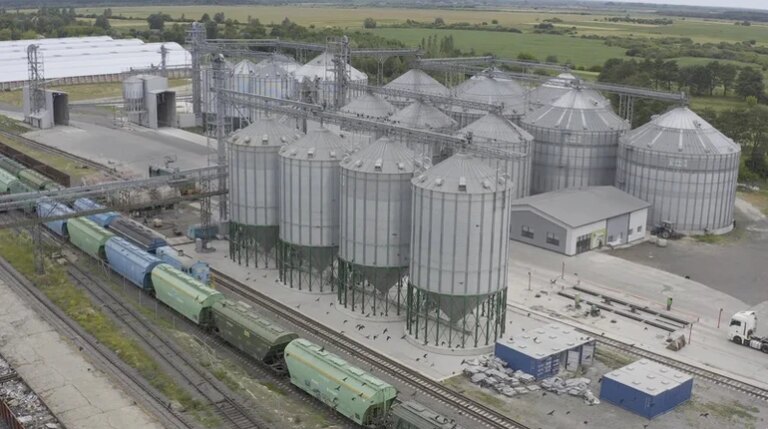 Заблоковані порти: зернотрейдери розкрили деталі щодо окремих культур 12