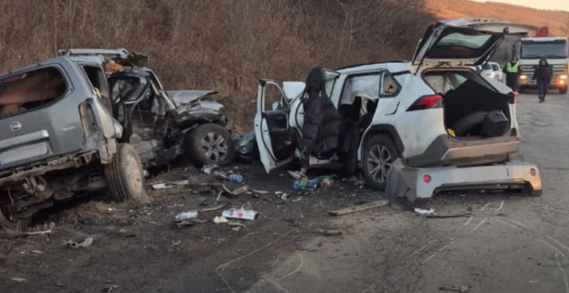 На Закарпатті: Водійку, що спричинила смертельну ДТП з матір'ю та сином, засуджено до реального терміну 3