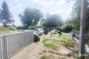 Поліція Рівненщини: п'яний водій спричинив ДТП та напав на правоохоронця 8